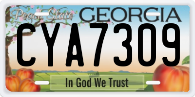 GA license plate CYA7309