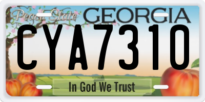 GA license plate CYA7310