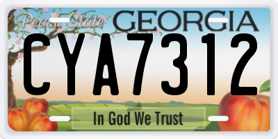 GA license plate CYA7312
