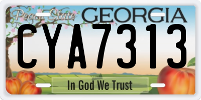 GA license plate CYA7313