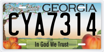 GA license plate CYA7314