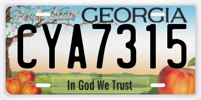 GA license plate CYA7315
