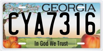GA license plate CYA7316