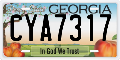 GA license plate CYA7317