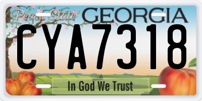 GA license plate CYA7318
