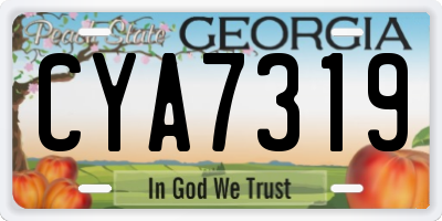 GA license plate CYA7319