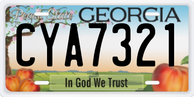 GA license plate CYA7321