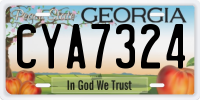 GA license plate CYA7324