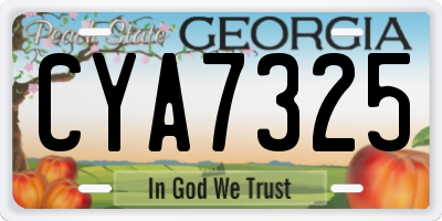 GA license plate CYA7325