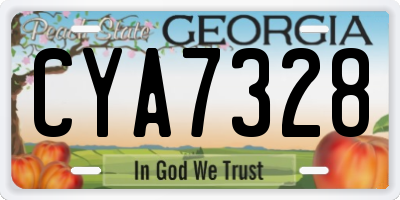 GA license plate CYA7328