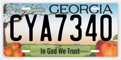 GA license plate CYA7340