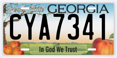 GA license plate CYA7341