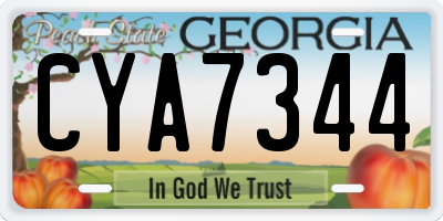 GA license plate CYA7344