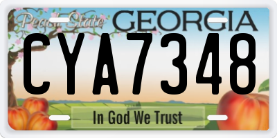 GA license plate CYA7348