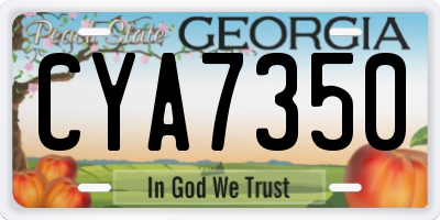 GA license plate CYA7350