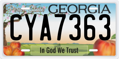 GA license plate CYA7363