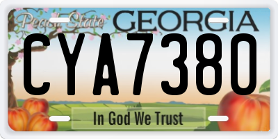 GA license plate CYA7380