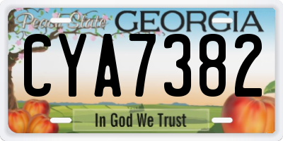 GA license plate CYA7382
