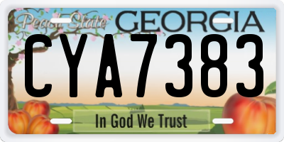 GA license plate CYA7383