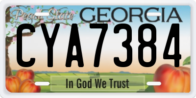 GA license plate CYA7384