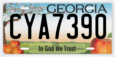 GA license plate CYA7390
