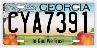 GA license plate CYA7391