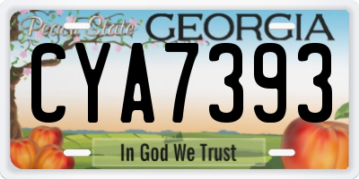 GA license plate CYA7393