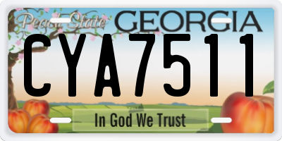 GA license plate CYA7511