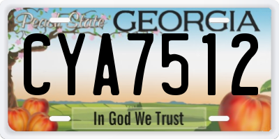 GA license plate CYA7512