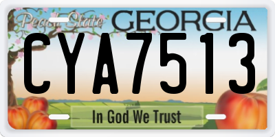 GA license plate CYA7513