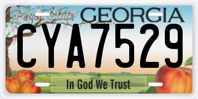 GA license plate CYA7529