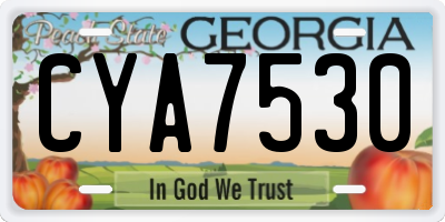 GA license plate CYA7530