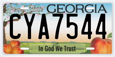 GA license plate CYA7544