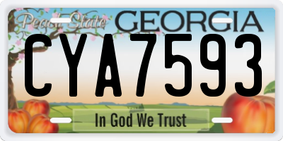 GA license plate CYA7593