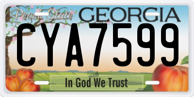 GA license plate CYA7599