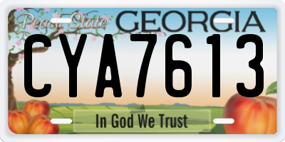 GA license plate CYA7613