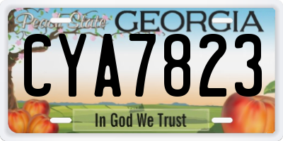 GA license plate CYA7823