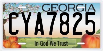 GA license plate CYA7825
