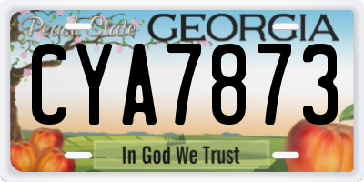 GA license plate CYA7873