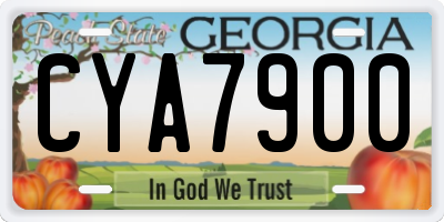 GA license plate CYA7900