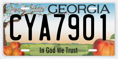 GA license plate CYA7901
