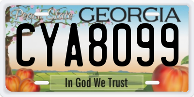 GA license plate CYA8099