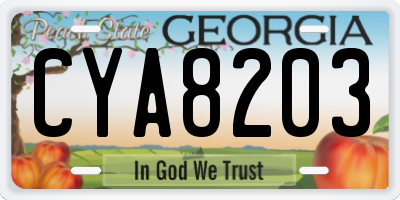 GA license plate CYA8203