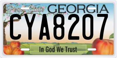 GA license plate CYA8207