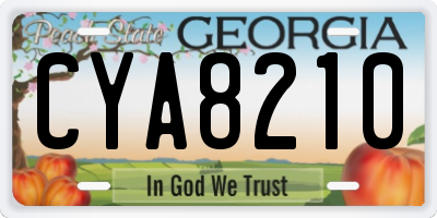 GA license plate CYA8210