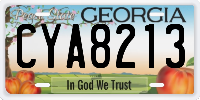 GA license plate CYA8213