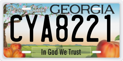 GA license plate CYA8221