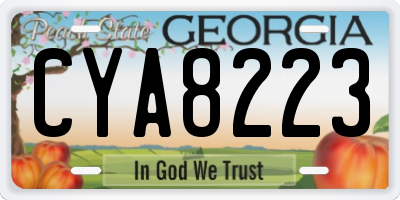 GA license plate CYA8223