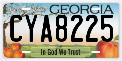 GA license plate CYA8225