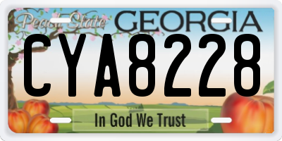 GA license plate CYA8228